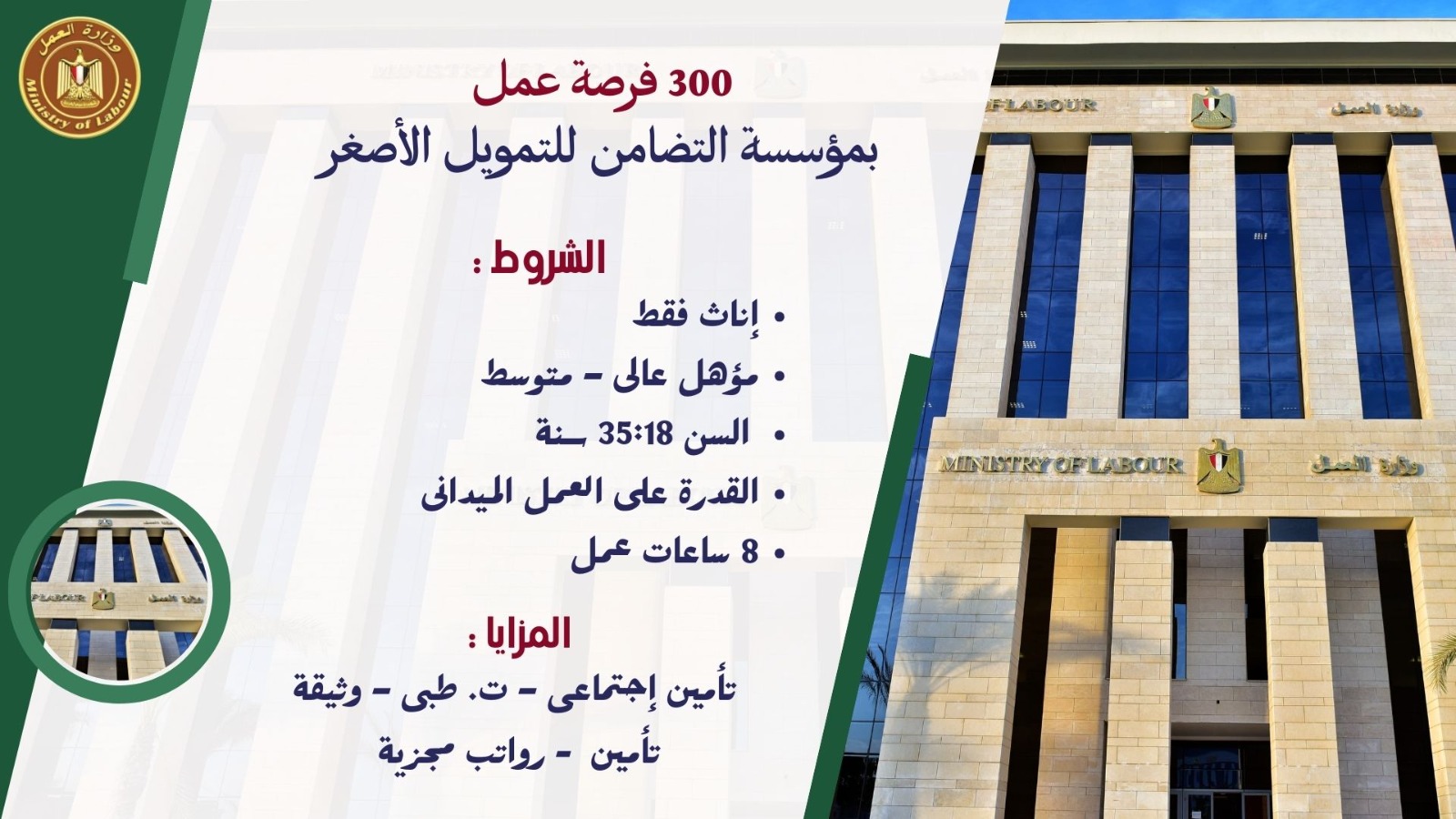 وزير القوى العامله 